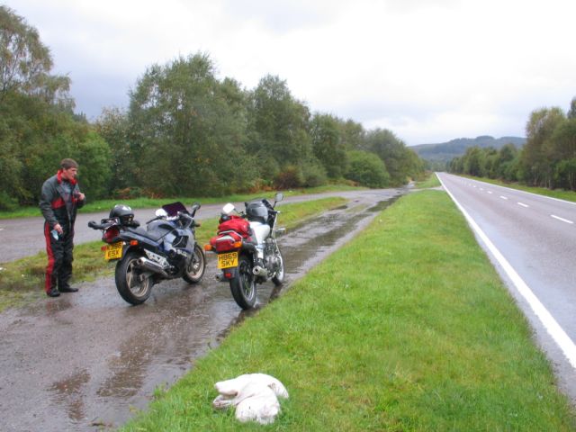 The coffee Stop